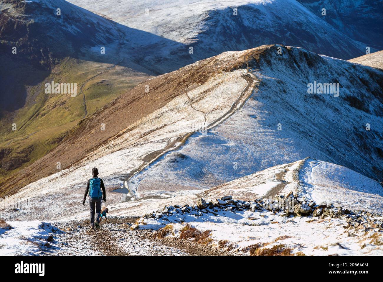 A female hiker and their dog walking down towards Sand Hill from the summit of Grisedale Pike in winter in the English Lake District, UK. Stock Photo