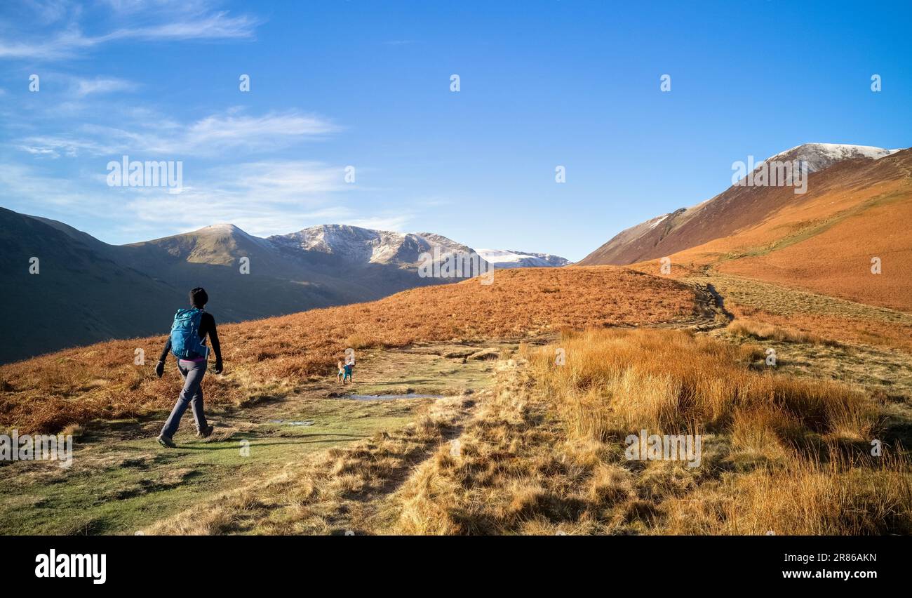 A female hiker walking the trail to the summit of Grisedale Pike with Crag Hill in the distance in winter in the English Lake District, UK. Stock Photo