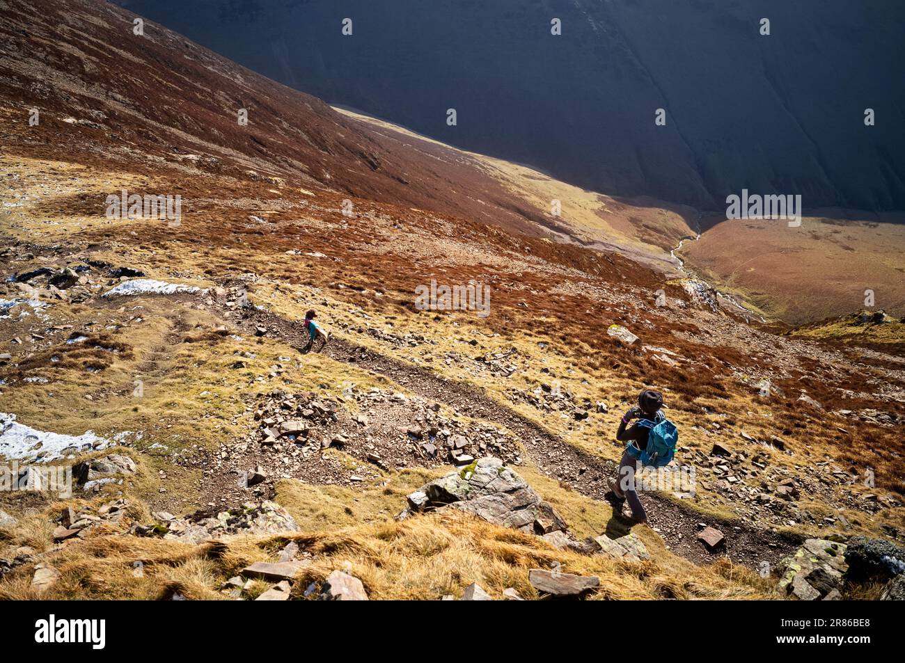 Looking down to a female hiker and their dog walking a mountain trail towards the summit of Sail in winter in the English Lake District, UK. Stock Photo