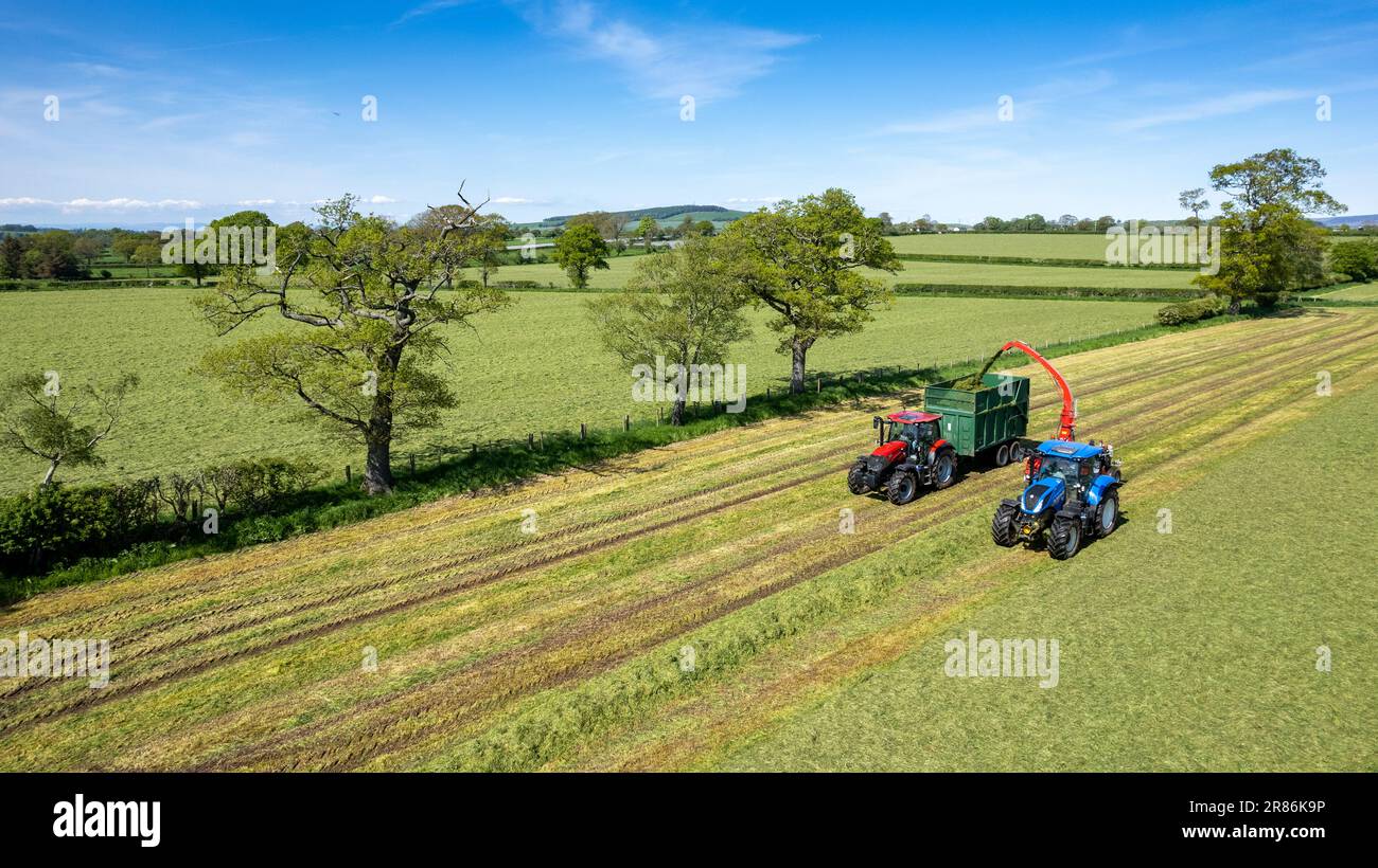 Making first cut silage on a dairy farm in early summer in the Eden Valley near Penrith, Cumbria. Stock Photo