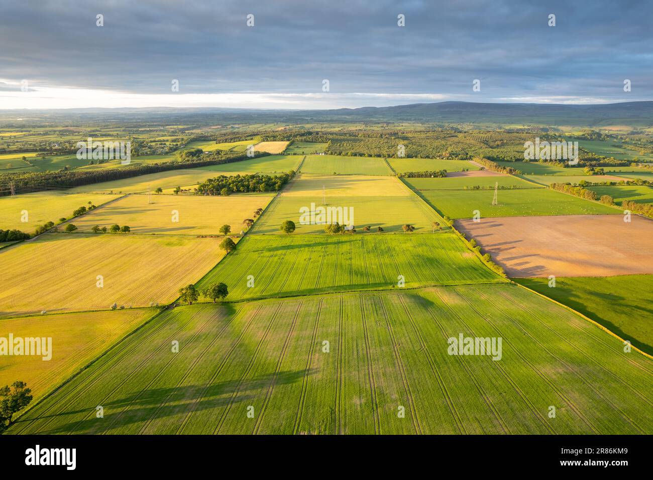 Aerial view of the Eden Valley near Carlisle on an early summers evening , overlooking fertile farmland, Cumbria, UK. Stock Photo