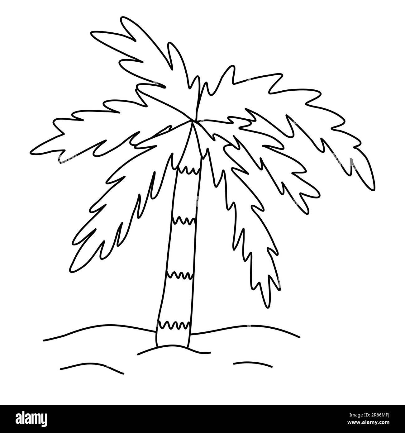 Hand Drawn Coconut Tree Sketch Stock Illustration 1681362547 | Shutterstock