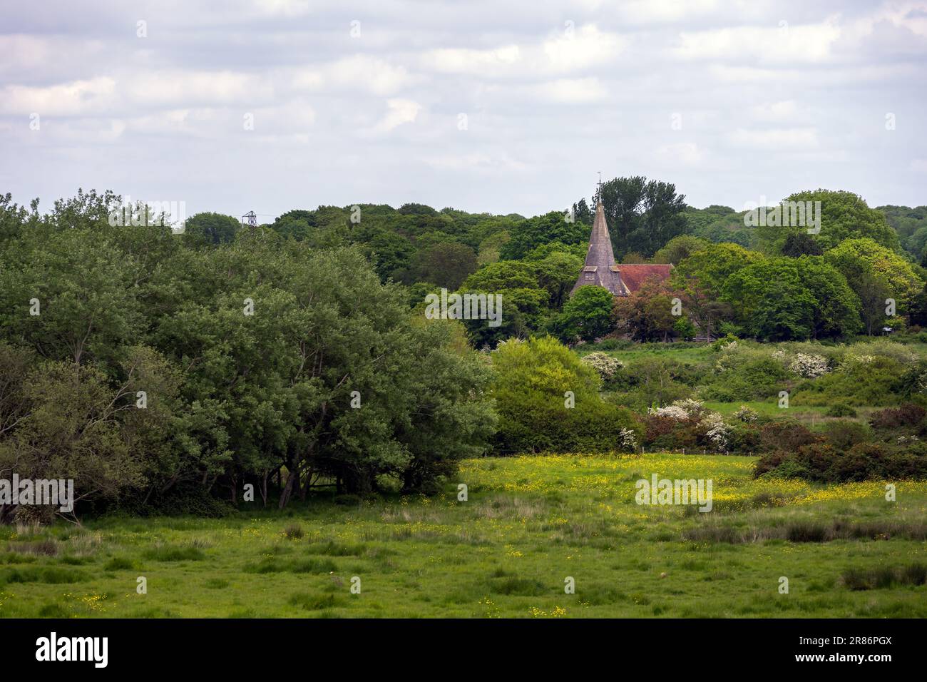 Arlington church nestled in the trees in spring, Wealden, East Sussex, Engalnd Stock Photo