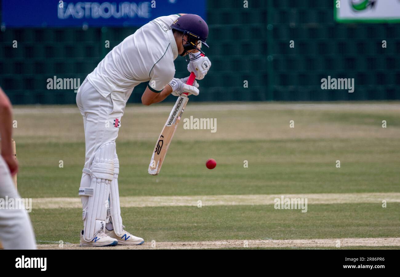 Bognor v Eastbourne Sussex cricket league Stock Photo