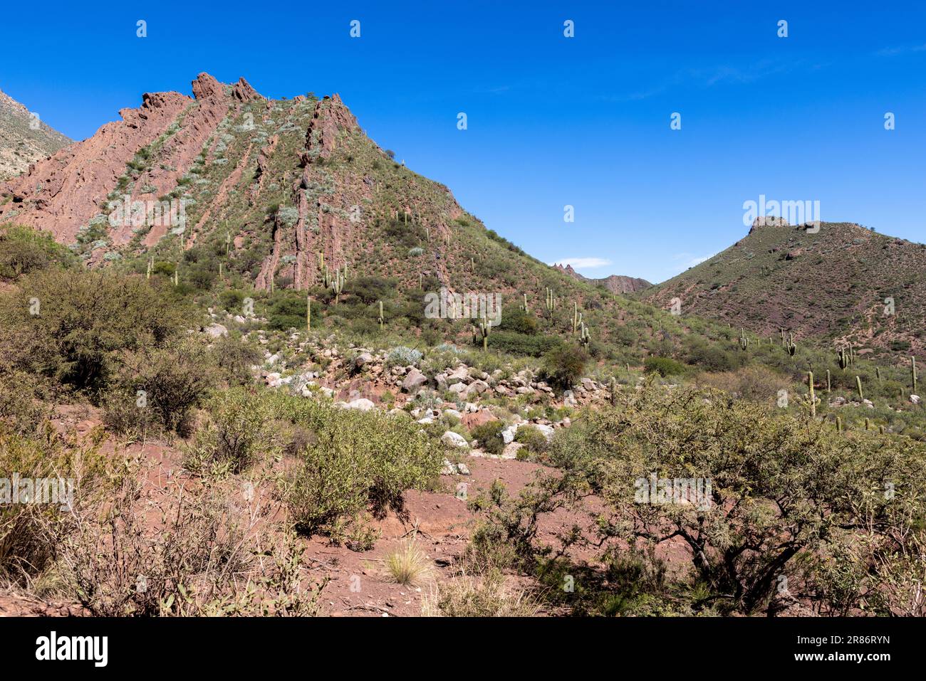 Laguna del brealito hires stock photography and images Alamy