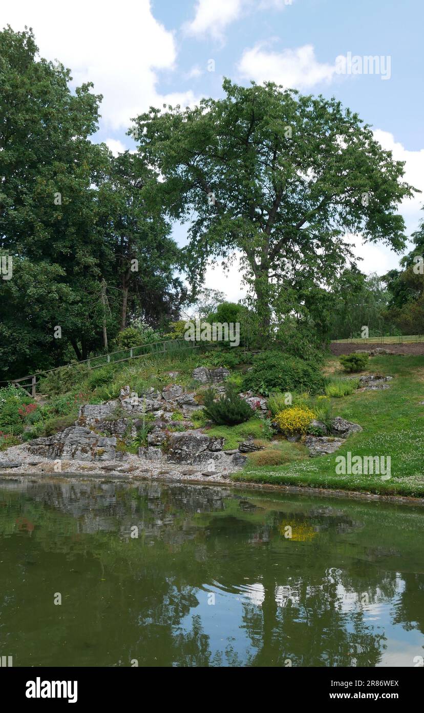 Eltham Palace, Kent, England Stock Photo - Alamy