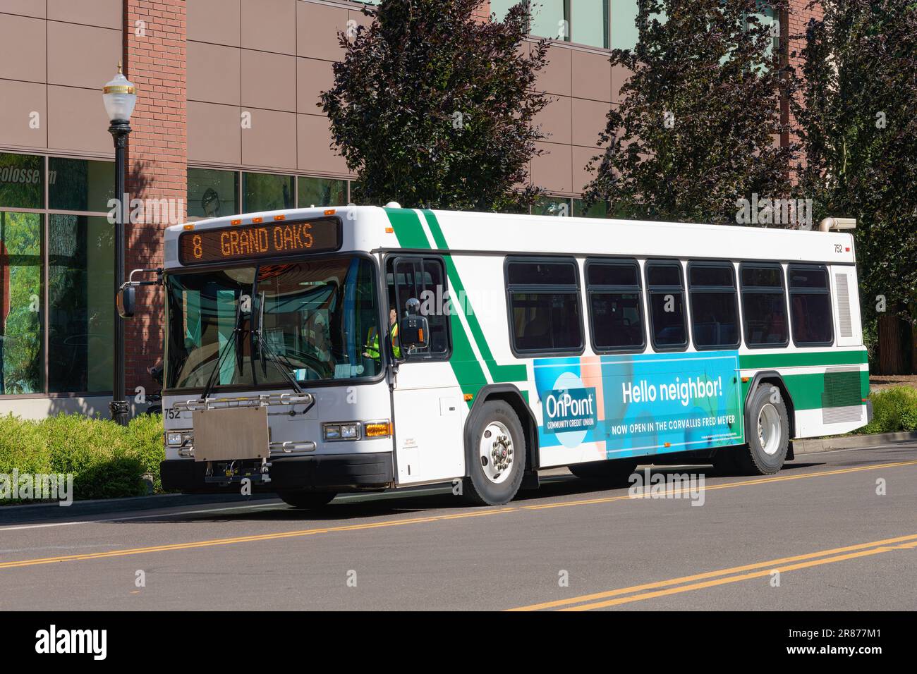 Corvallis, OR, USA - June 12, 2023; Corvallis Transit System bus on city street on route 8 Stock Photo