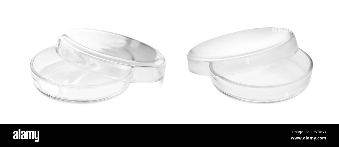 Empty Petri dishes isolated on white. Laboratory glassware Stock Photo ...