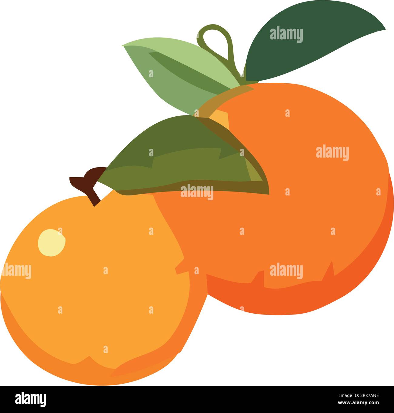 Juicy orange citrus, symbol of healthy eating Stock Vector Image & Art ...