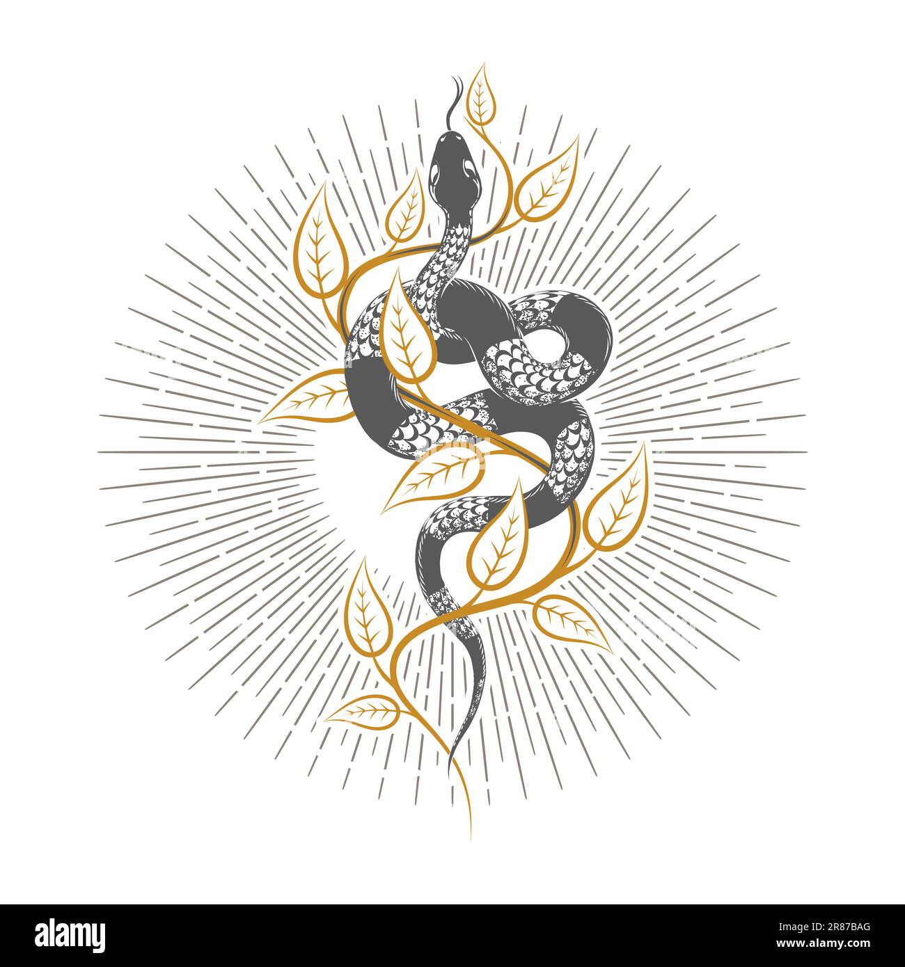 Esoteric snake of wisdom on a branch hermetic alchemy medieval occultic tattoo isolated on white. Vector illustration. Stock Vector