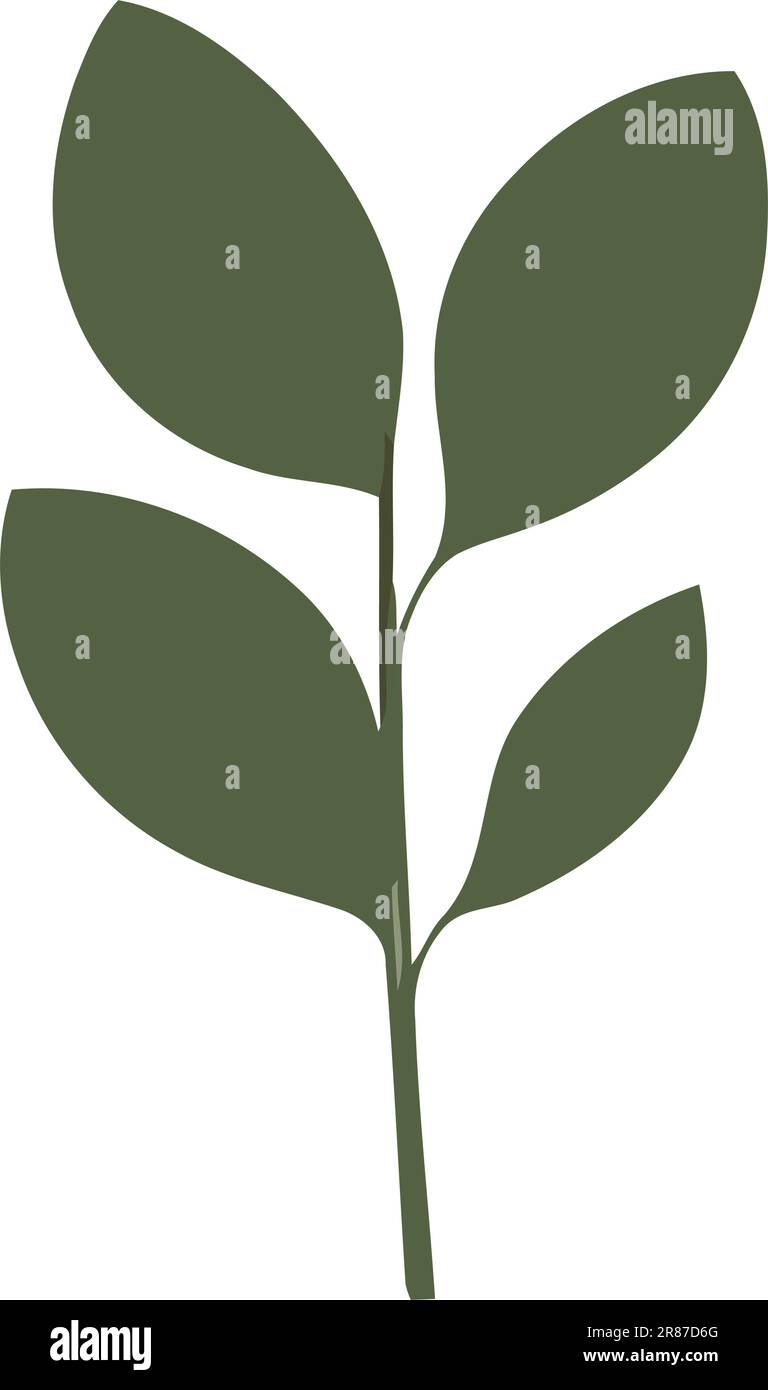 green leaves in nature beauty Stock Vector Image & Art - Alamy