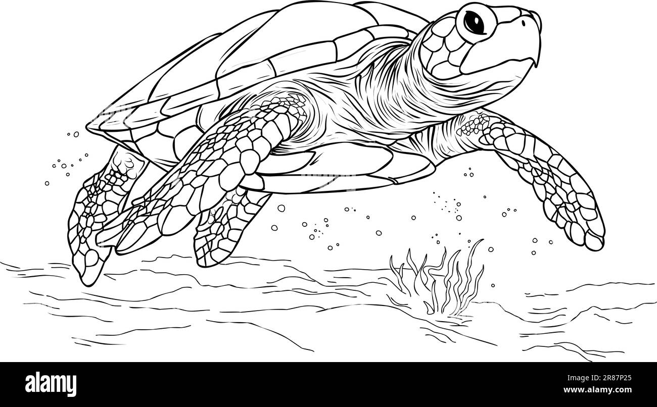 Coloring page turtle.Coloring page life in the ocean with algae Stock Vector
