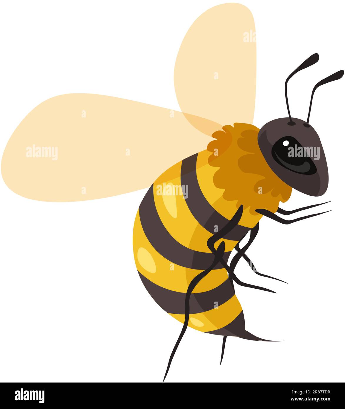 Beekeeping and apiary, honeybee insect portrait Stock Vector Image ...