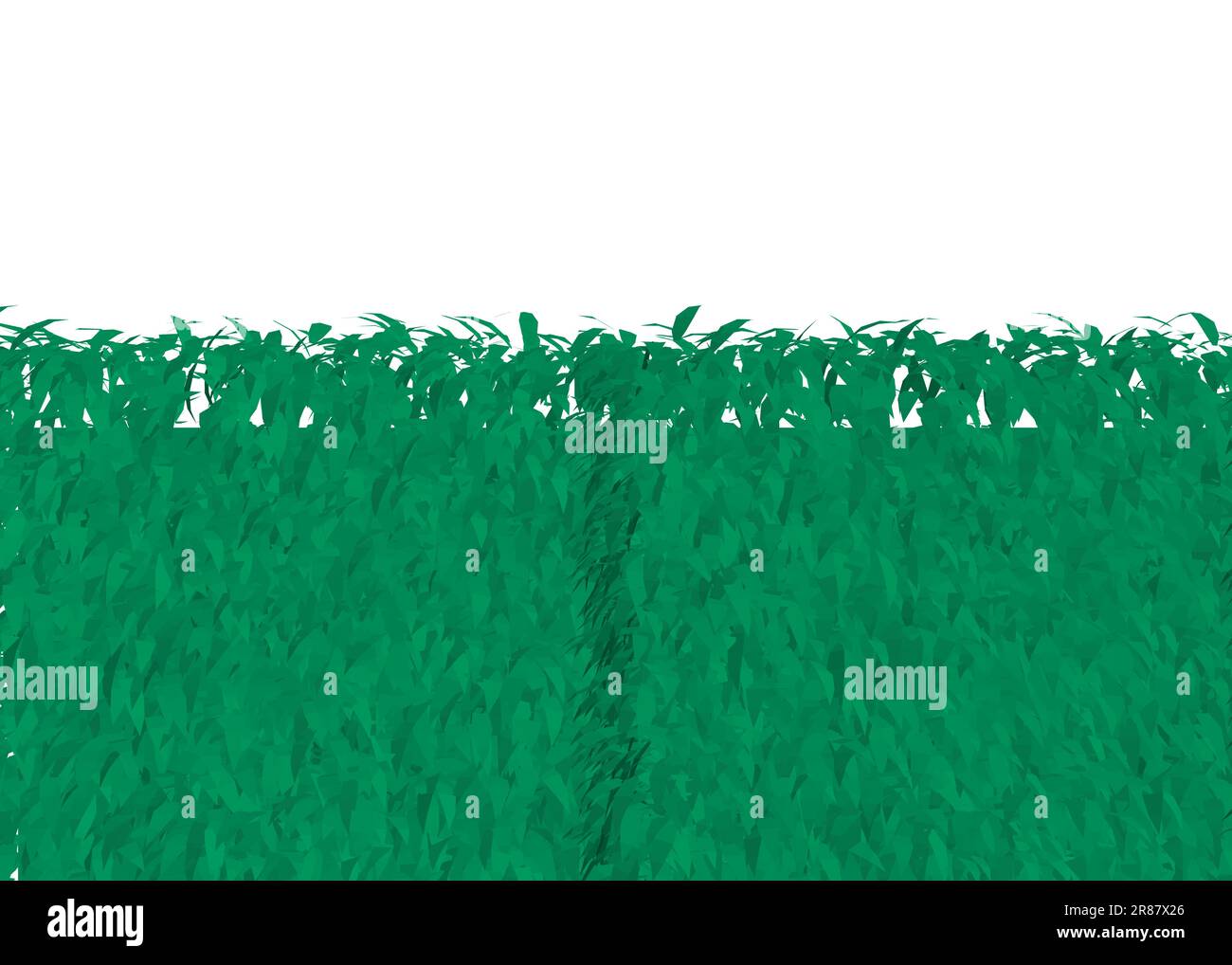 Green Grass fence rectangular boxwood shrubs polygonal. Ornamental ...