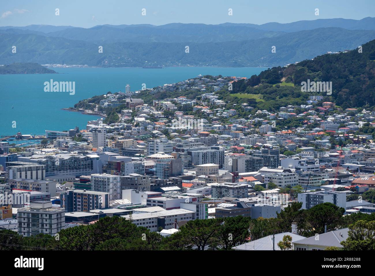 The view of Wellington city in New Zealand from hills above the city. Showing the Harbour, city