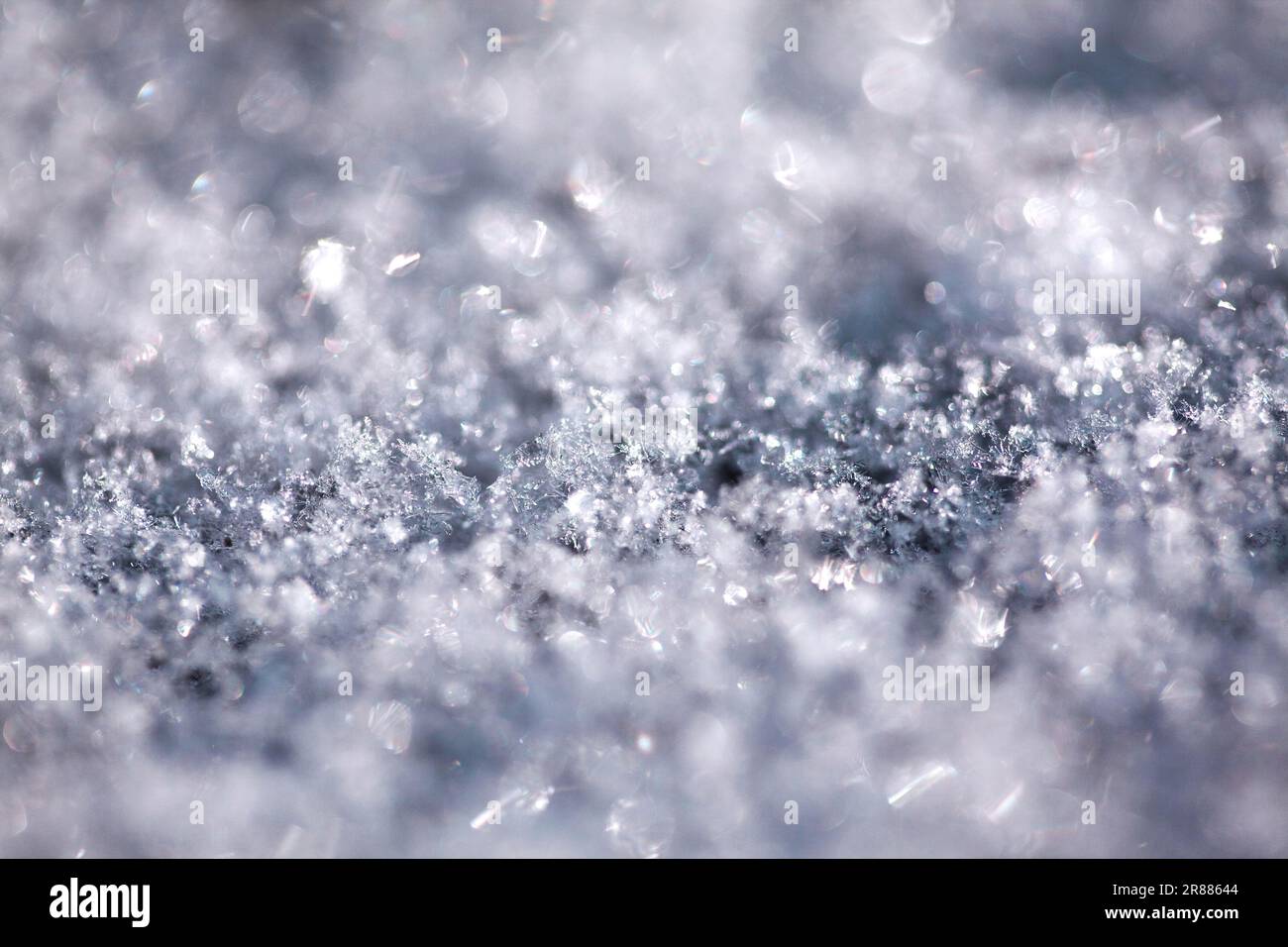 Snow macro with shallow depth of field Stock Photo