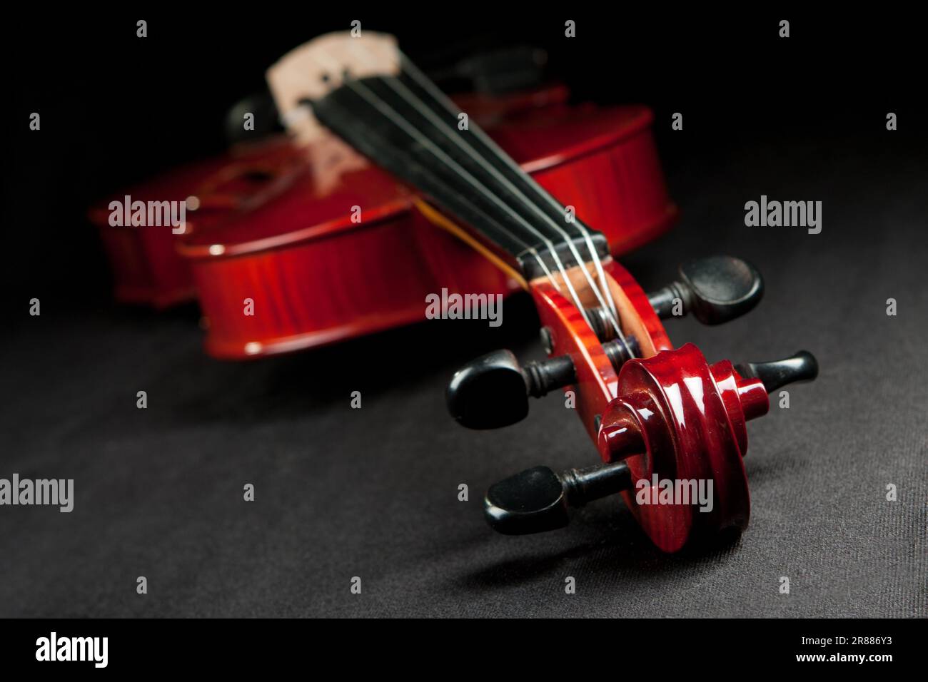 Beautiful shiny fiddle on dark velvet bakground Stock Photo