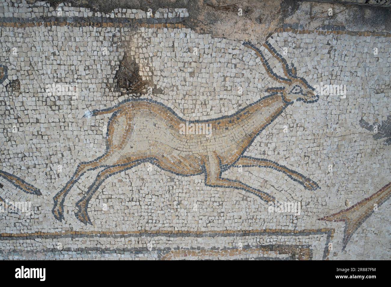 Caesarea, Israel August 4th, 2022 An antelope detail on the ancient