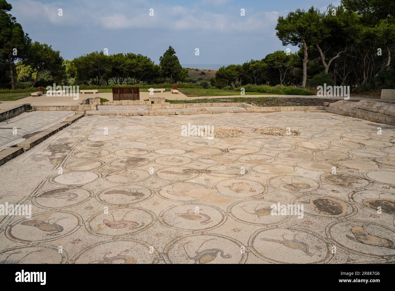 Caesarea, Israel August 4th, 2022 The ancient mosaic floor of the
