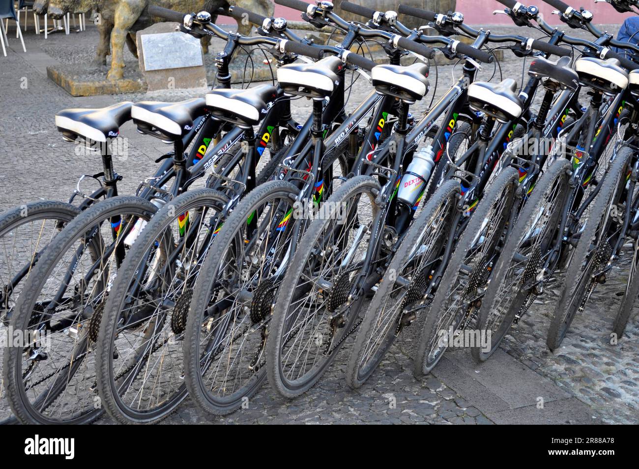 Madeira, Portugal, city, Funchal, bicycles from cruise ship Aida luna