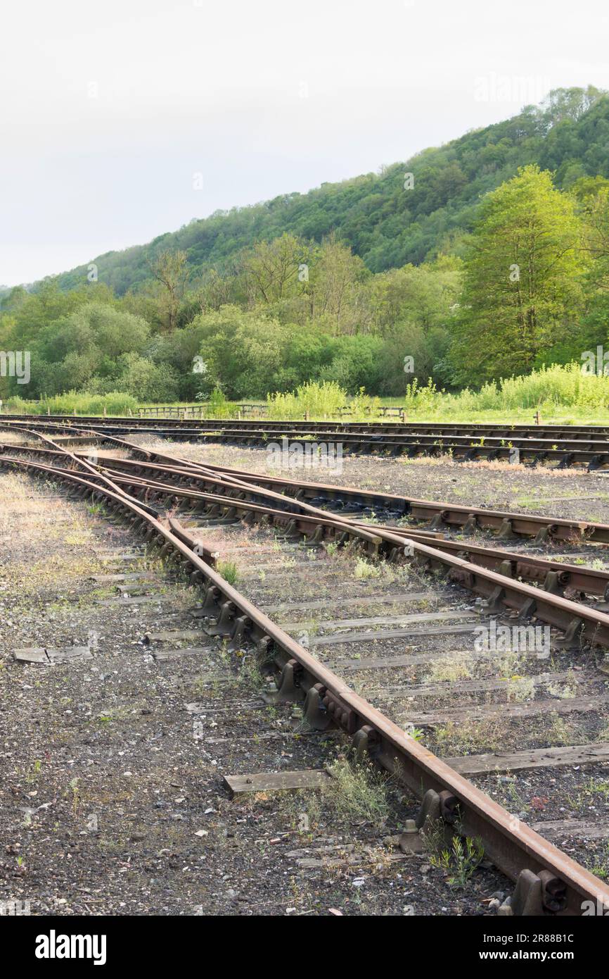 Double slip points as part of the track layout on sidings at Levisham station on the North Yorkshire Moors Railway, England. Stock Photo