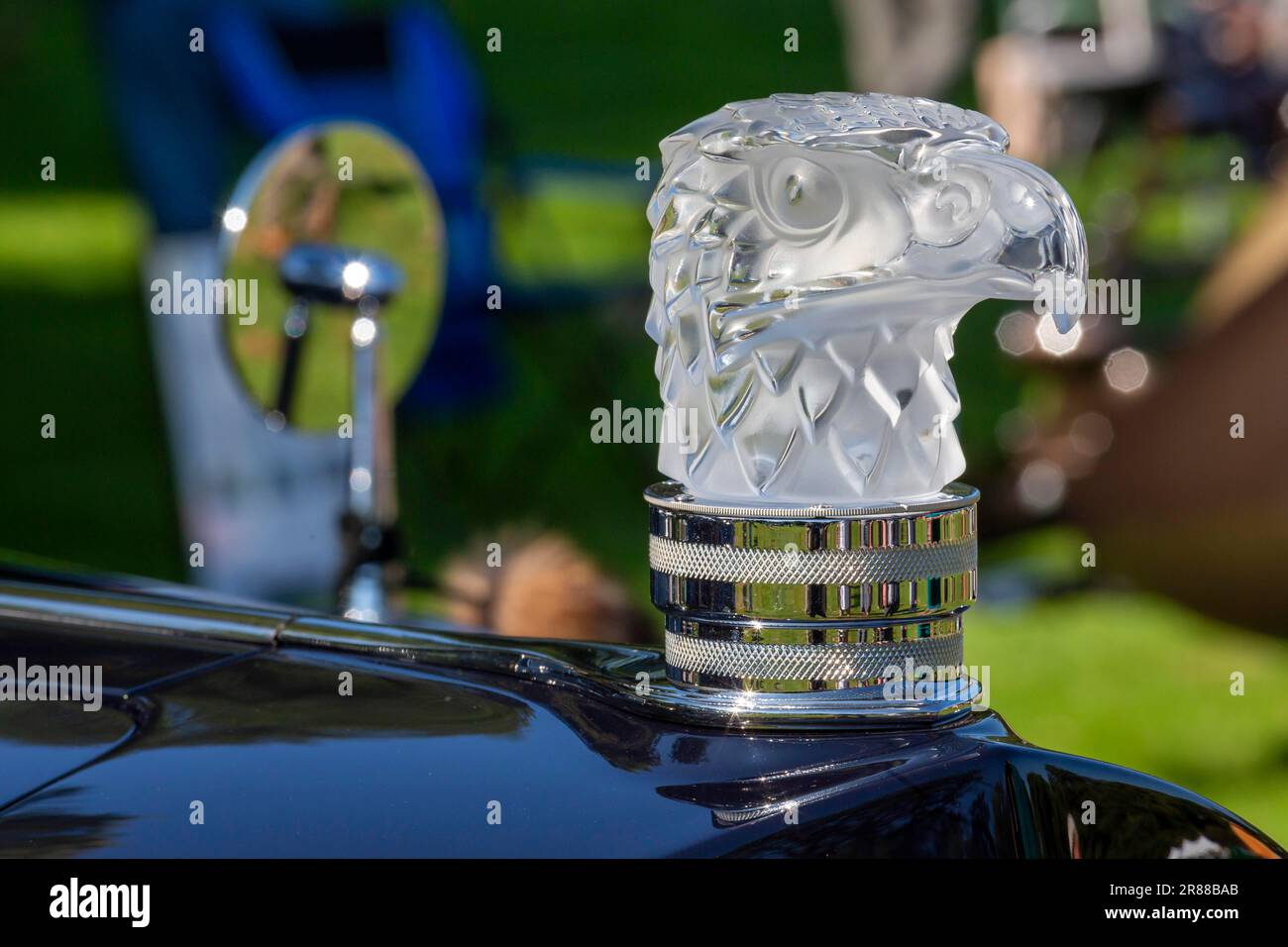 Grosse Pointe Shores, Michigan, The hood ornament of a 1938 Packard Super 8 sedan at the Eyes on Design auto show. This year's show featured Stock Photo