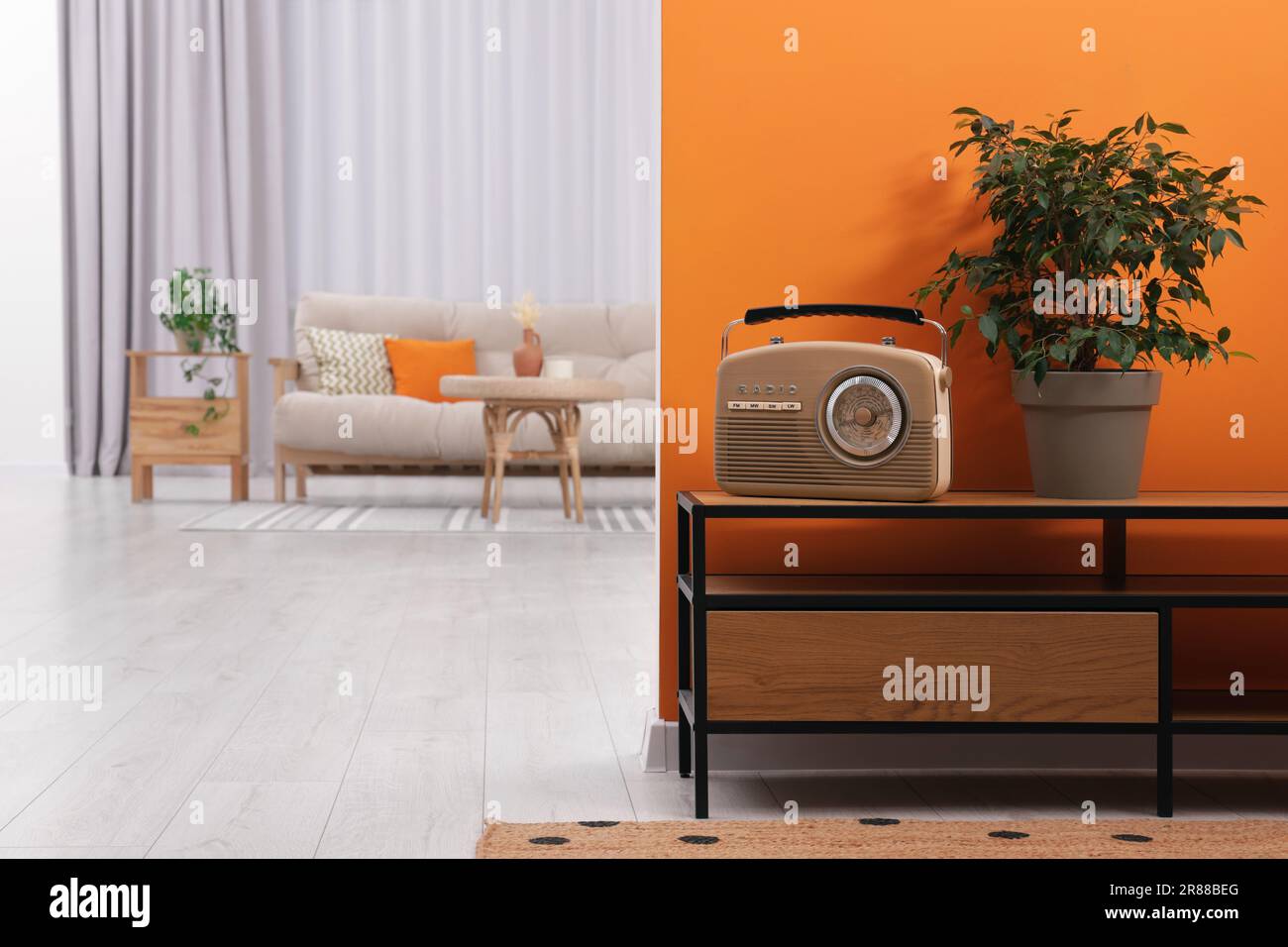 Retro radio receiver and houseplant on console table in stylish hallway ...