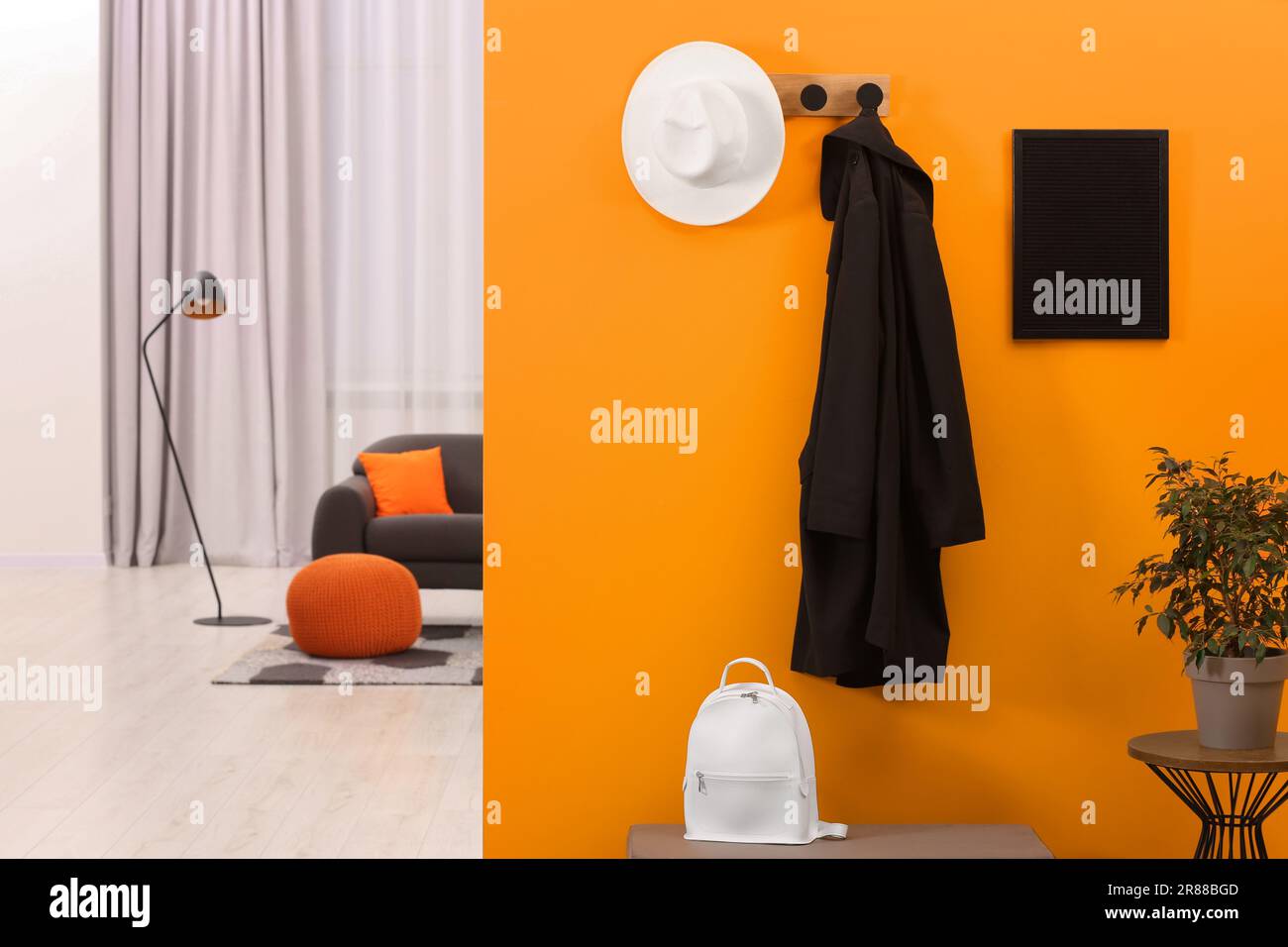 Hat, coat, backpack and houseplant near orange wall in stylish room ...