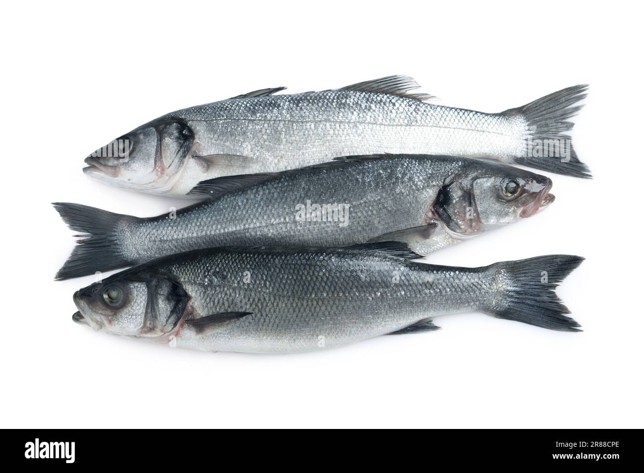 Fresh sea bass fish on white background, top view Stock Photo - Alamy
