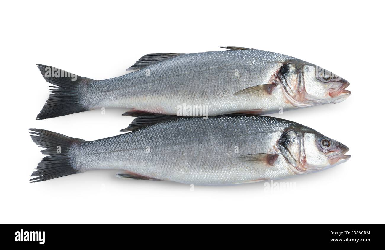 Fresh sea bass fish on white background, top view Stock Photo - Alamy
