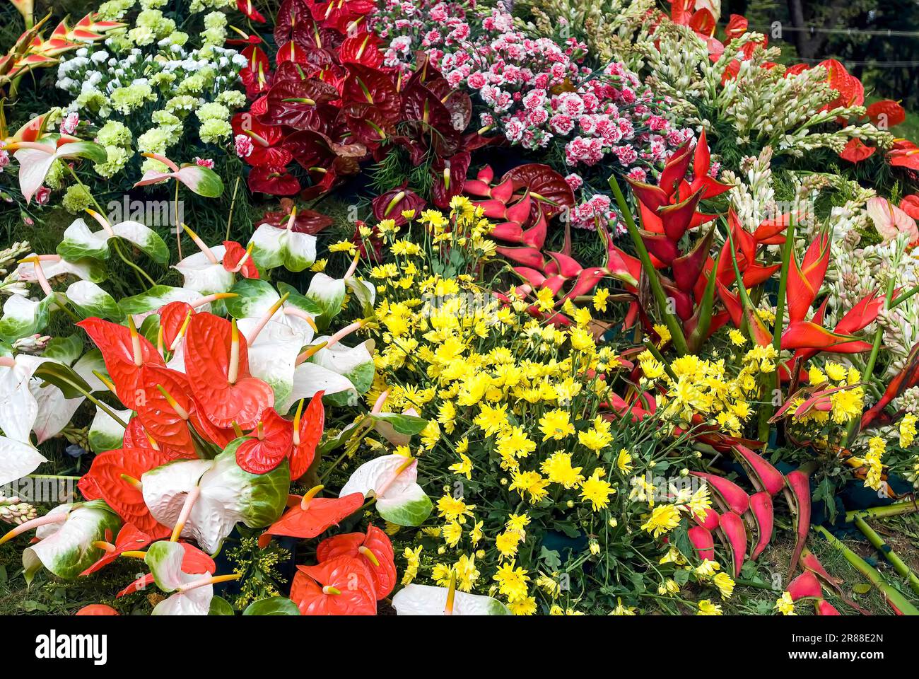 Flower show at Coimbatore, Tamil Nadu, South India, India, Asia Stock