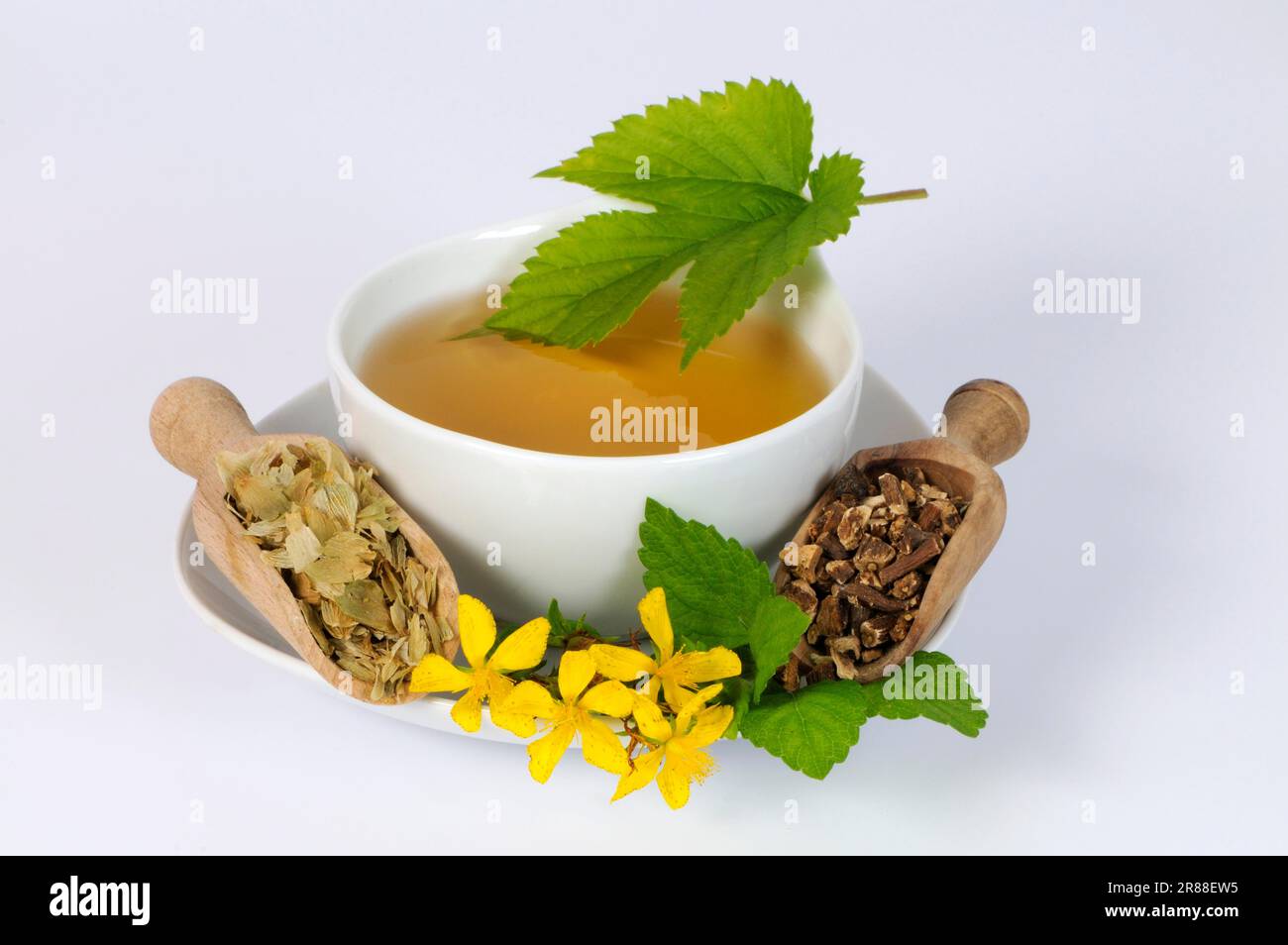 Hop bush hires stock photography and images Alamy