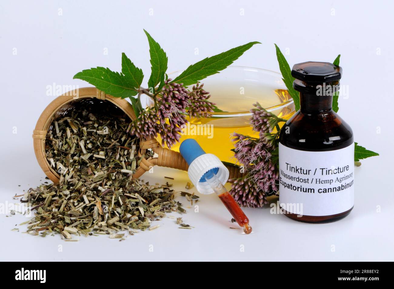 Cup of tea and tincture of waterdost, common waterdost (Eupatorium