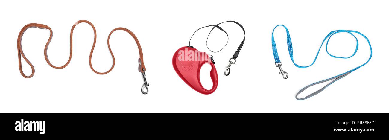 Leash lock hi-res stock photography and images - Alamy