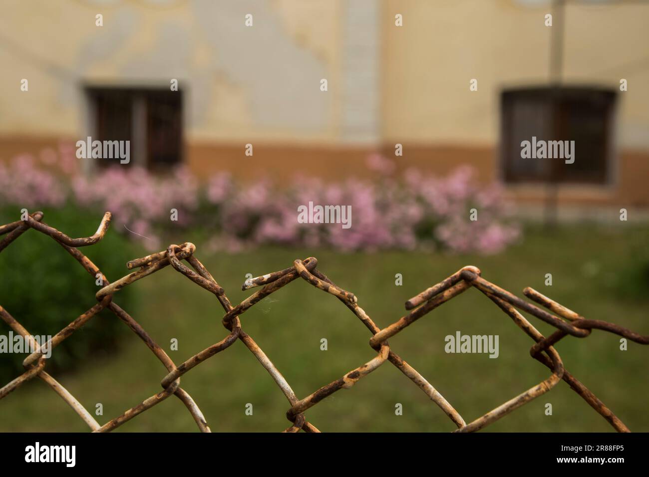 Wire mesh fence of house courtyard closeup Stock Photo - Alamy