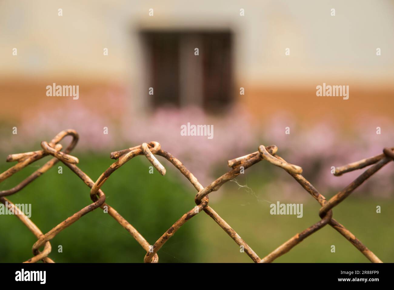 Wire mesh fence of house courtyard closeup Stock Photo - Alamy