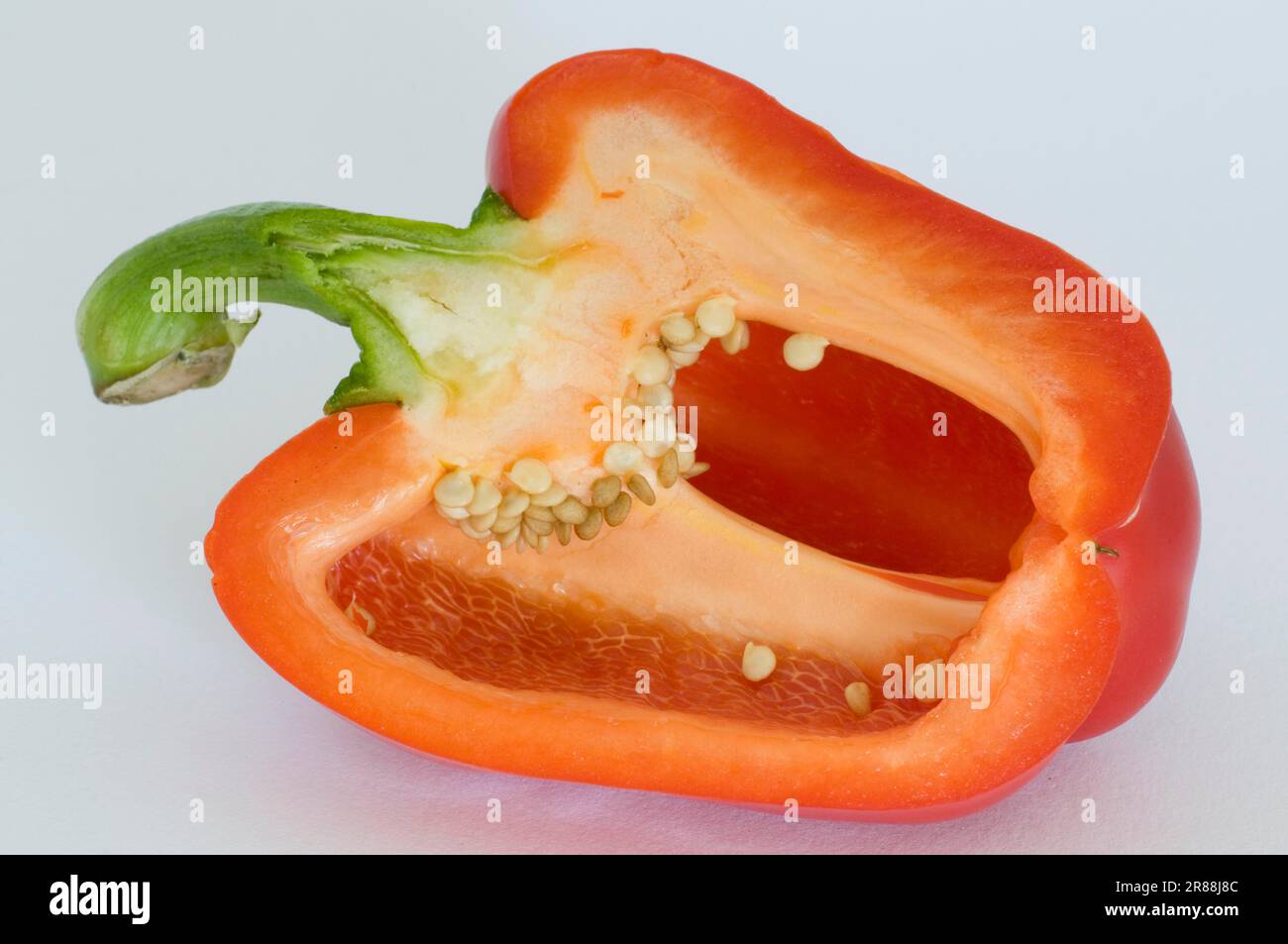 Red Pepper fruit (Capsicum annuum Stock Photo Alamy