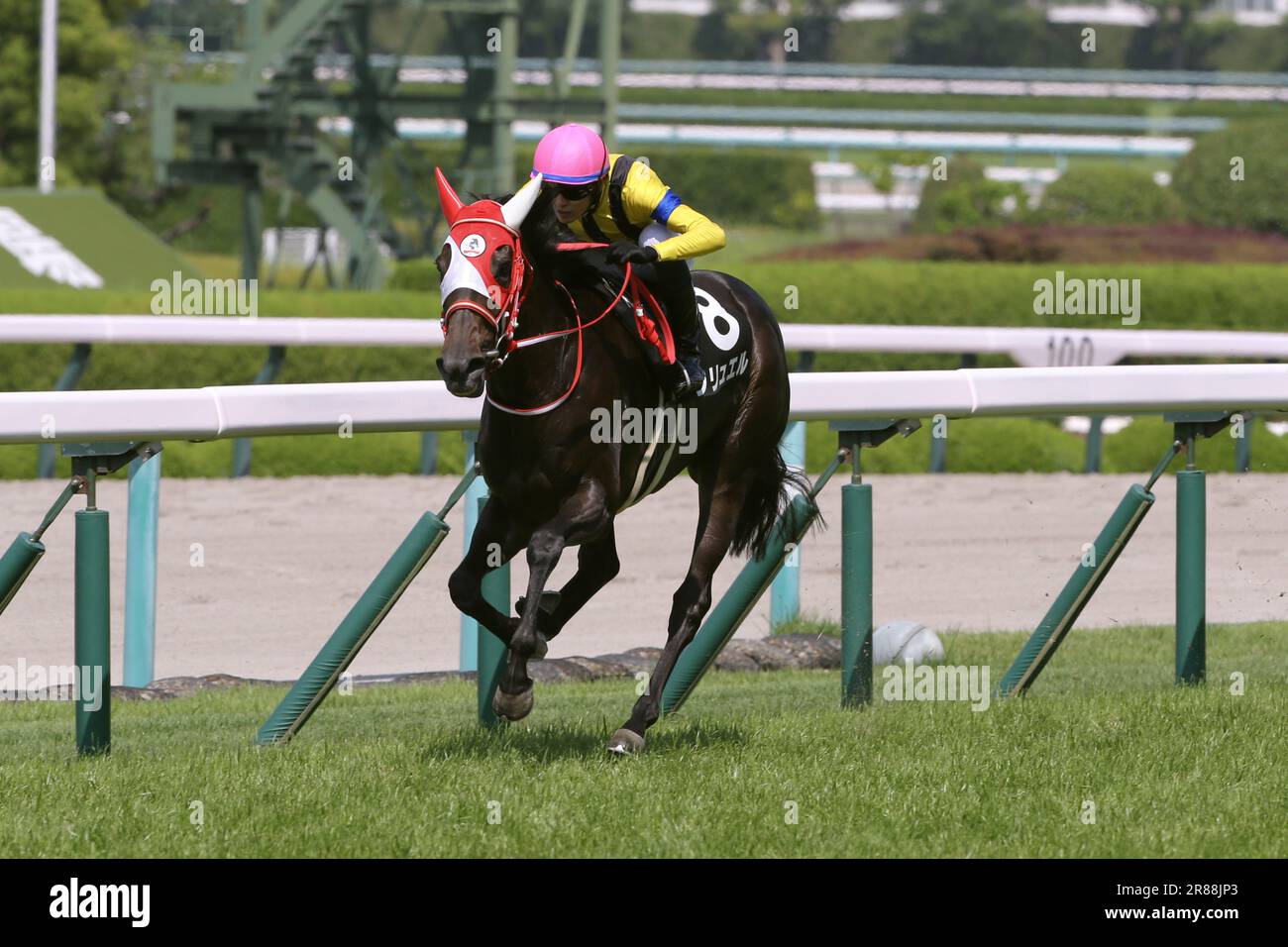 Hyogo, Japan. 17th June, 2023. 2023/06/17 HANSHIN 09R KYOBASHI ...