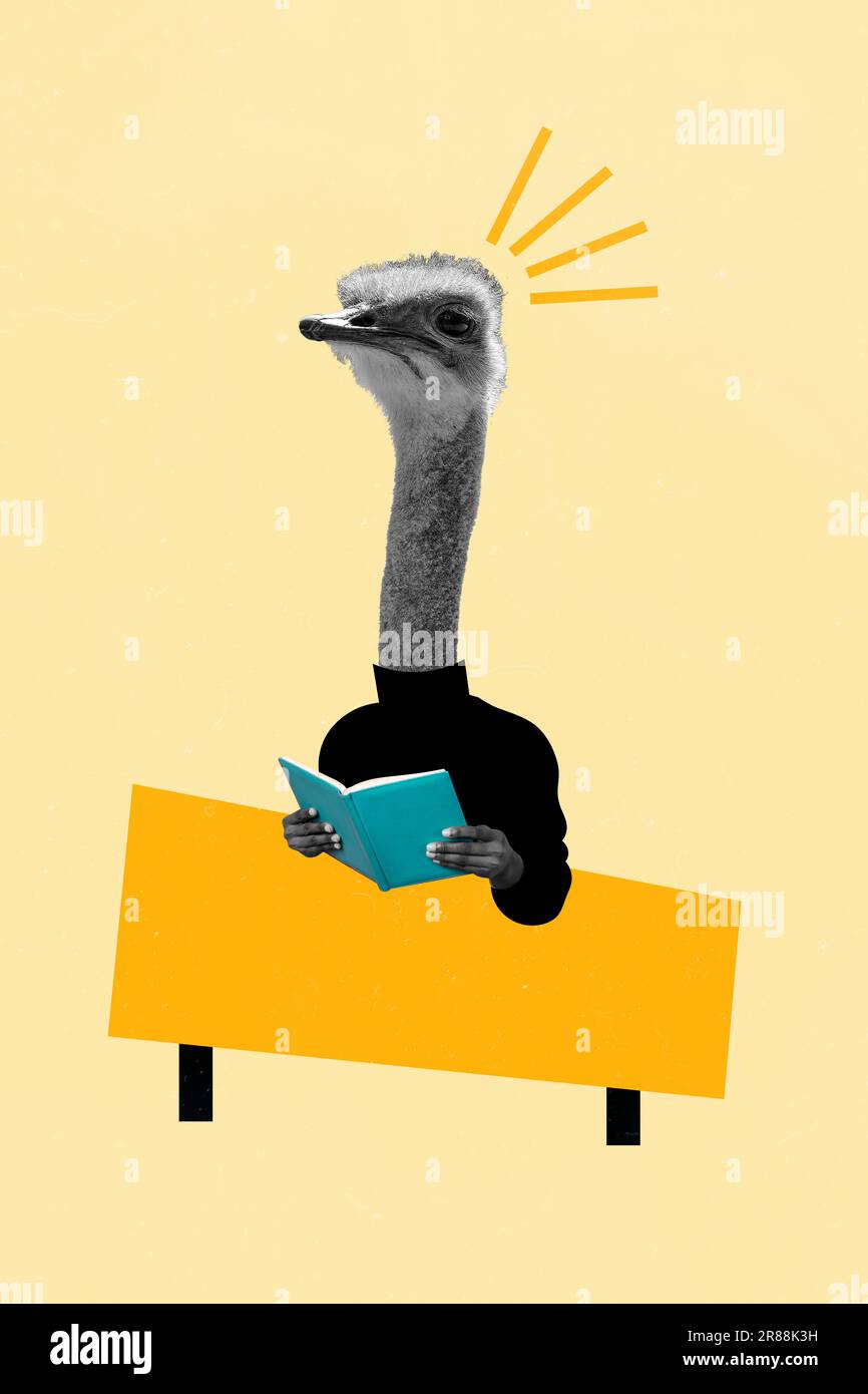 Magazine sketch collage image of funky smart clever ostrich head guy ...