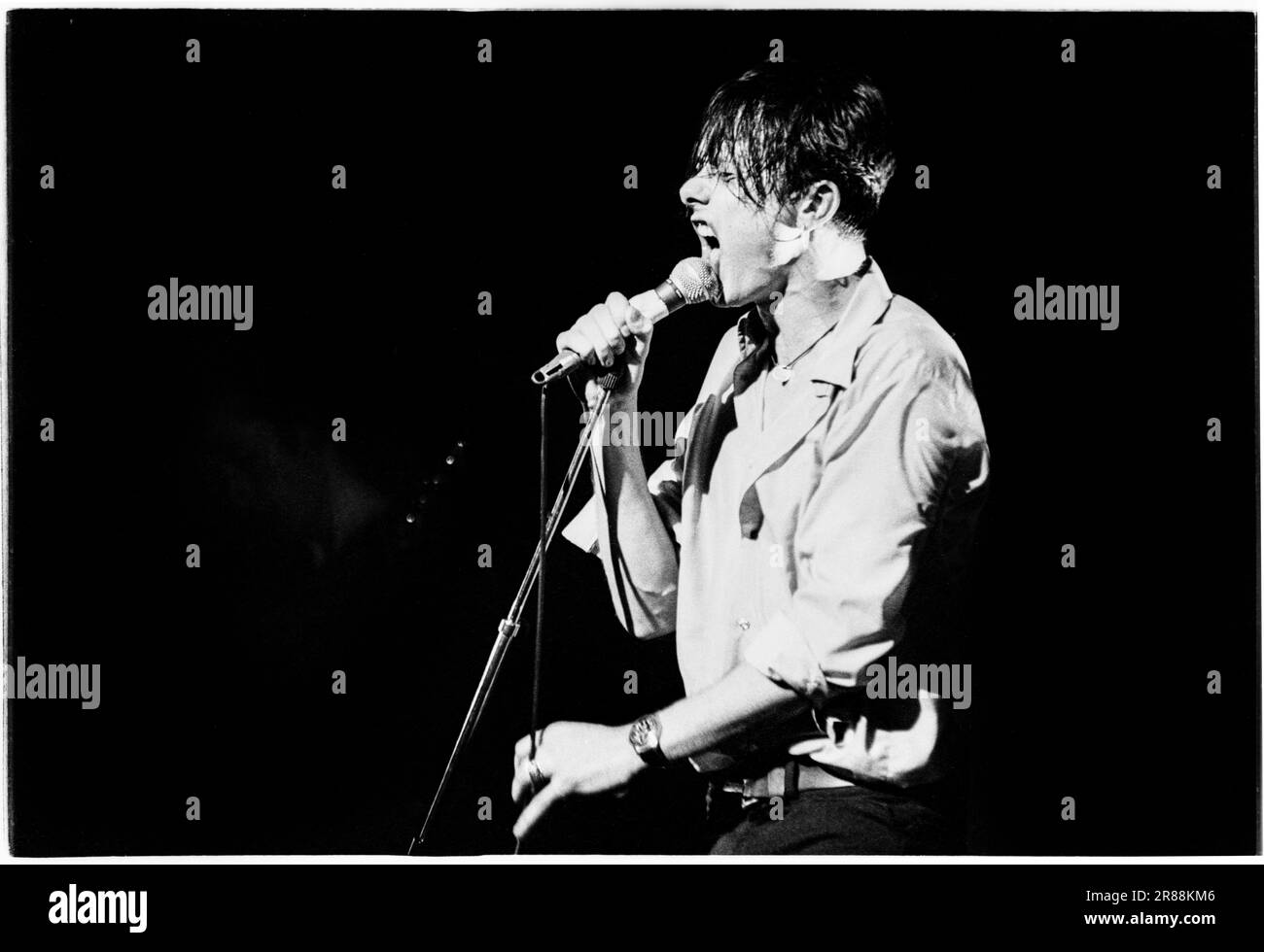 BRETT ANDERSON, SUEDE BAND, 1994: Brett Anderson of Suede on the Dog