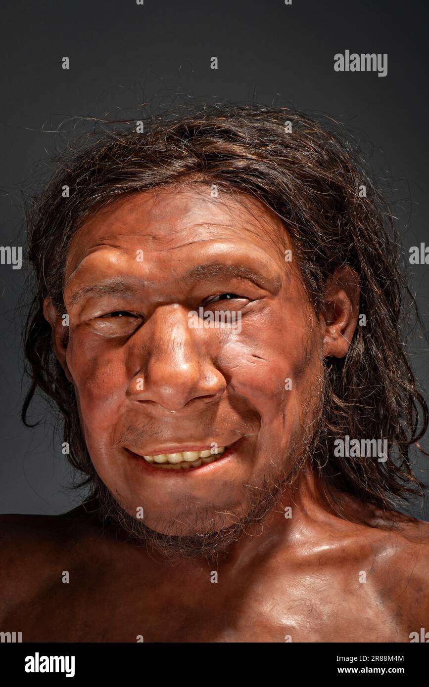 Neanderthaler reconstruction Stock Photo