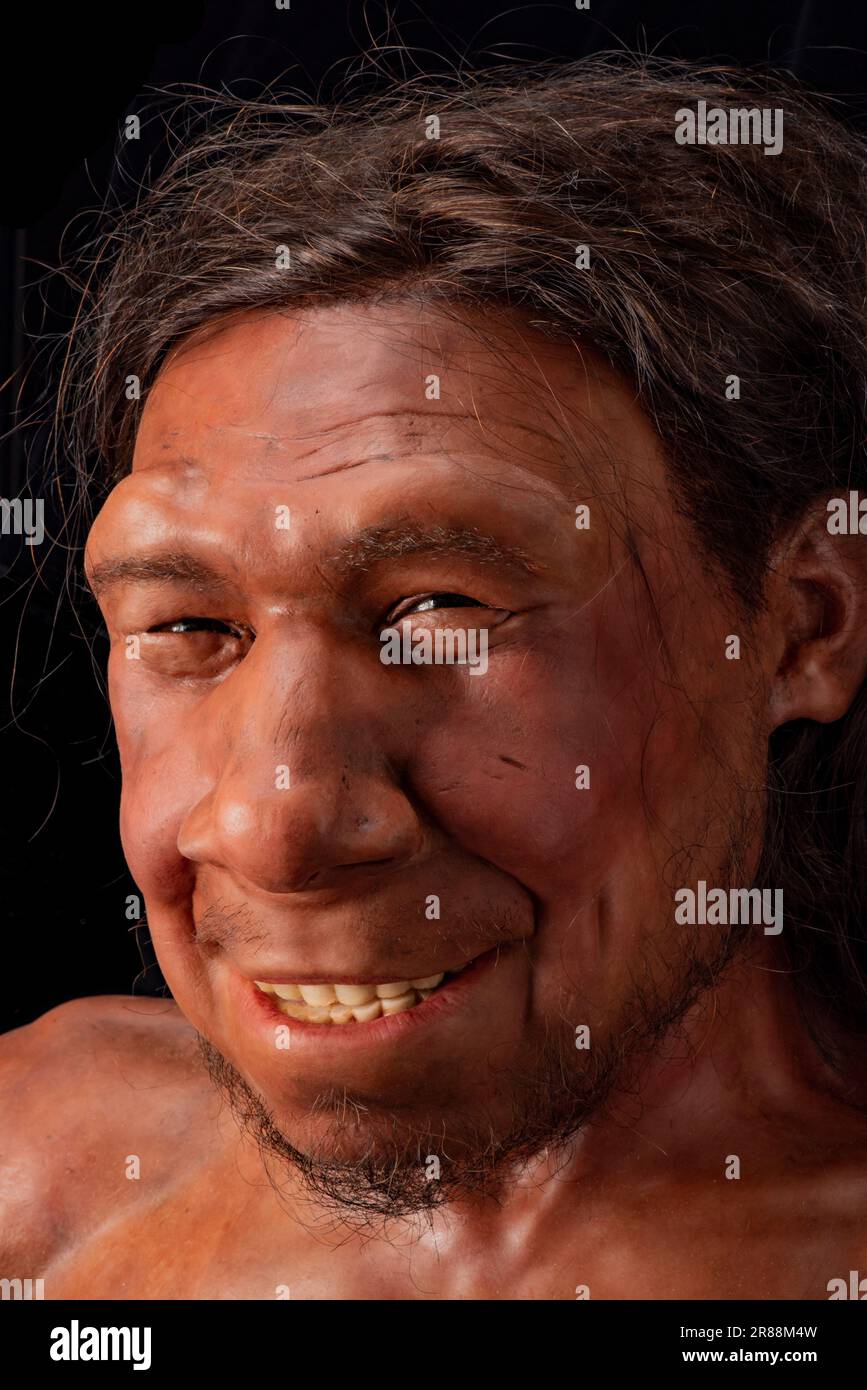 Neanderthaler reconstruction Stock Photo