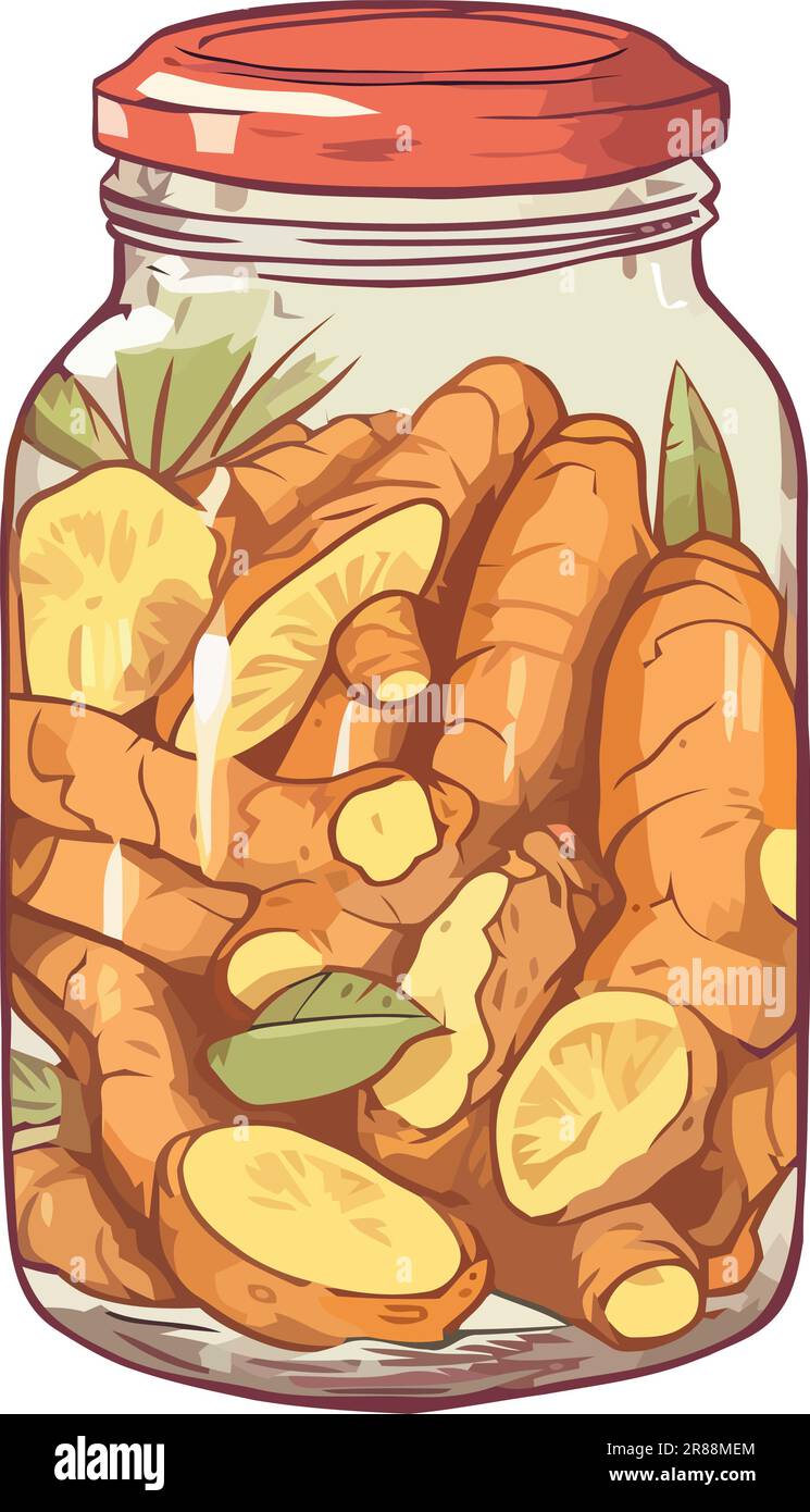 Fresh organic ginger jar illustration Stock Vector Image & Art Alamy