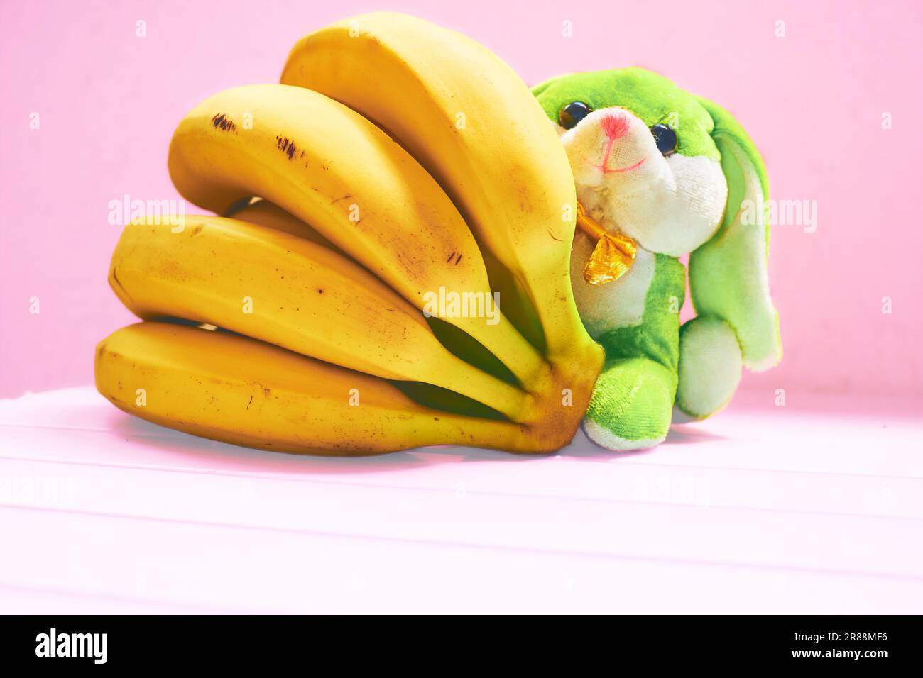 Ripe delicious bananas, green funny dog toy, pink background Stock