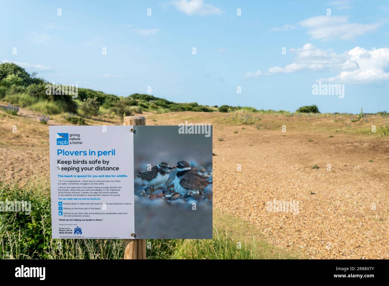 A sign behind Snettisham beach in Norfolk warns of ground nesting ringed plovers. Stock Photo