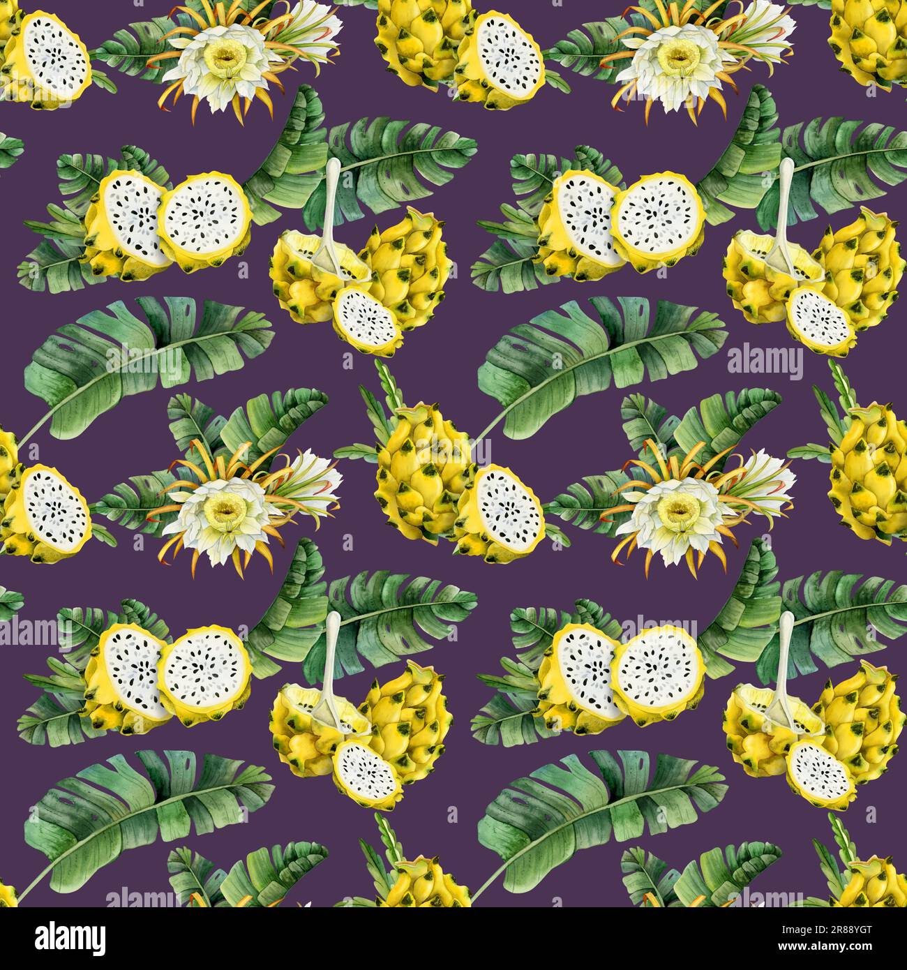 Daek purple yellow pitaya dragon fruits slices in tropical leaves watercolor seamless pattern on violet background Stock Photo