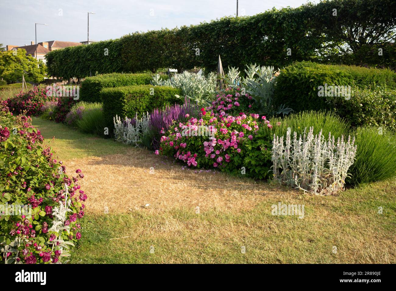 Herbaceous borders hi-res stock photography and images - Alamy