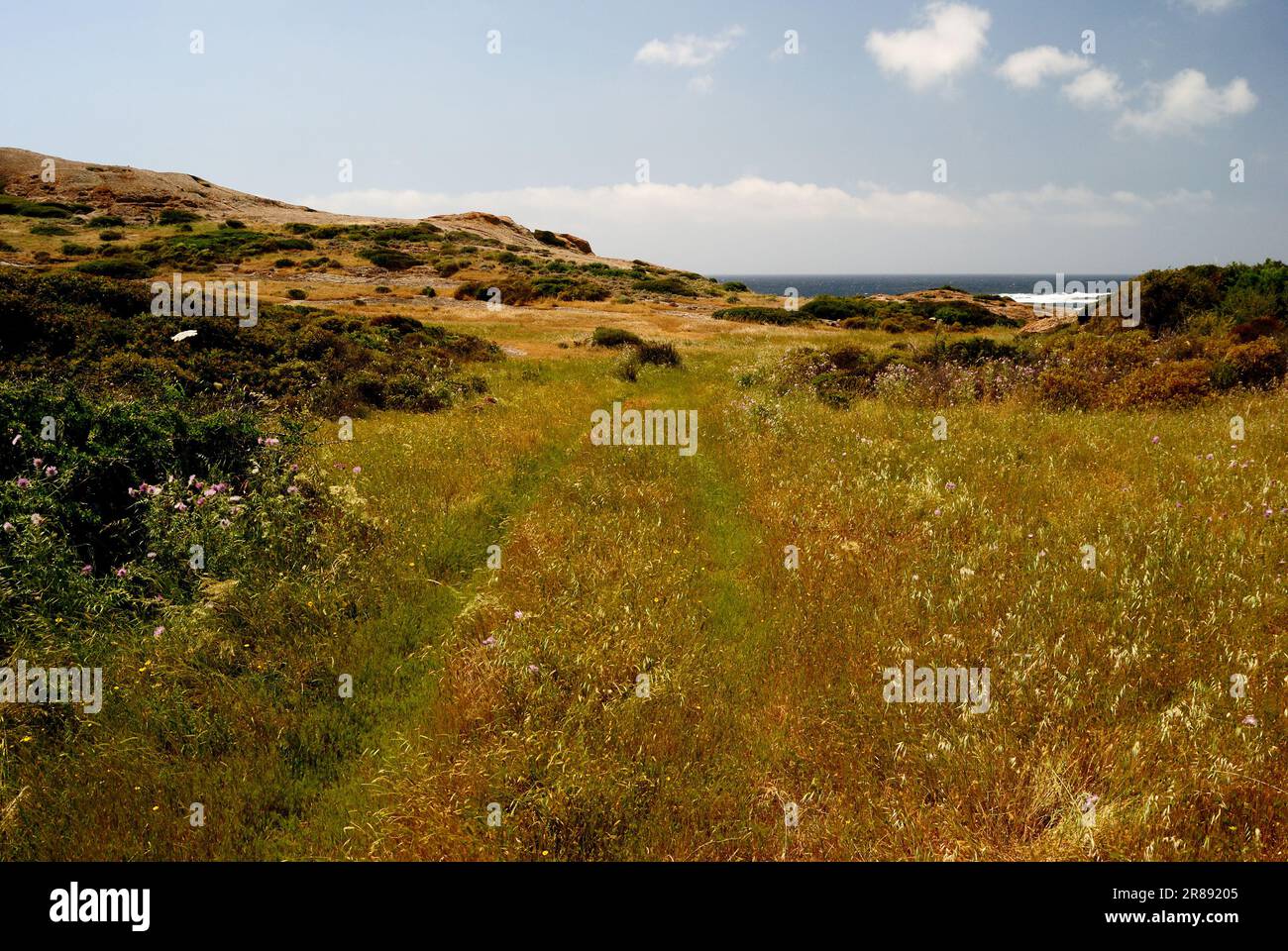 The hinterland of the coast of Capo Argentina in Bosa Stock Photo Alamy