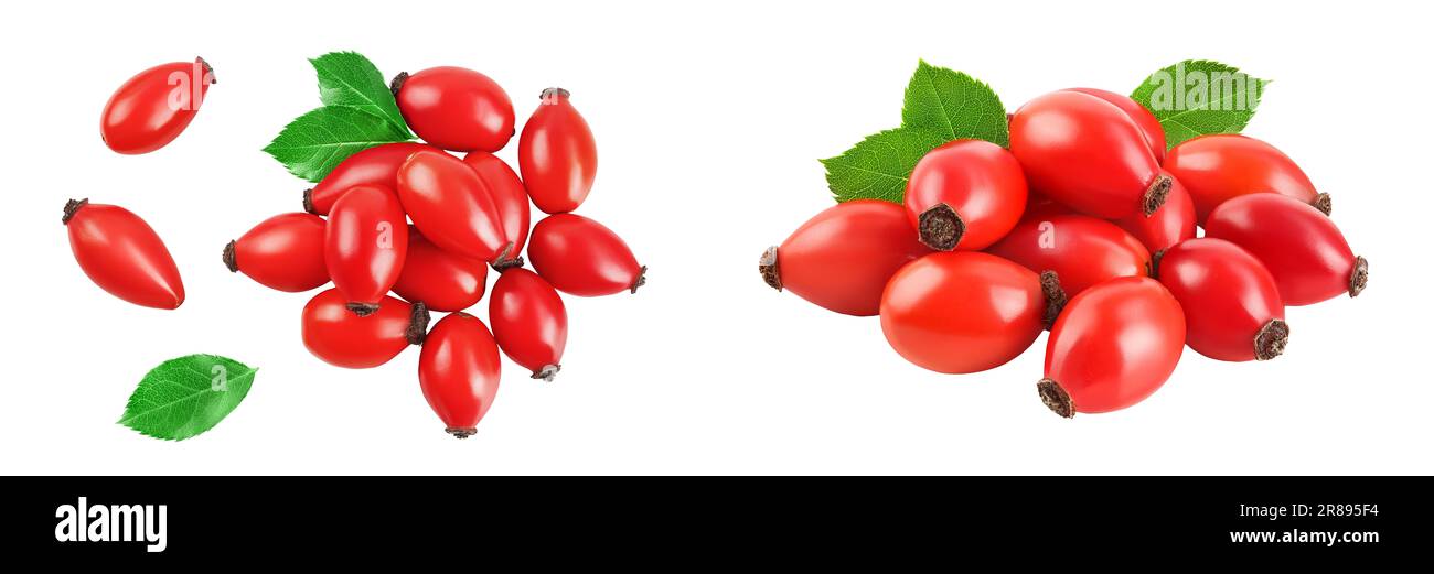 Rose hip isolated on a white background with full depth of field. Top ...