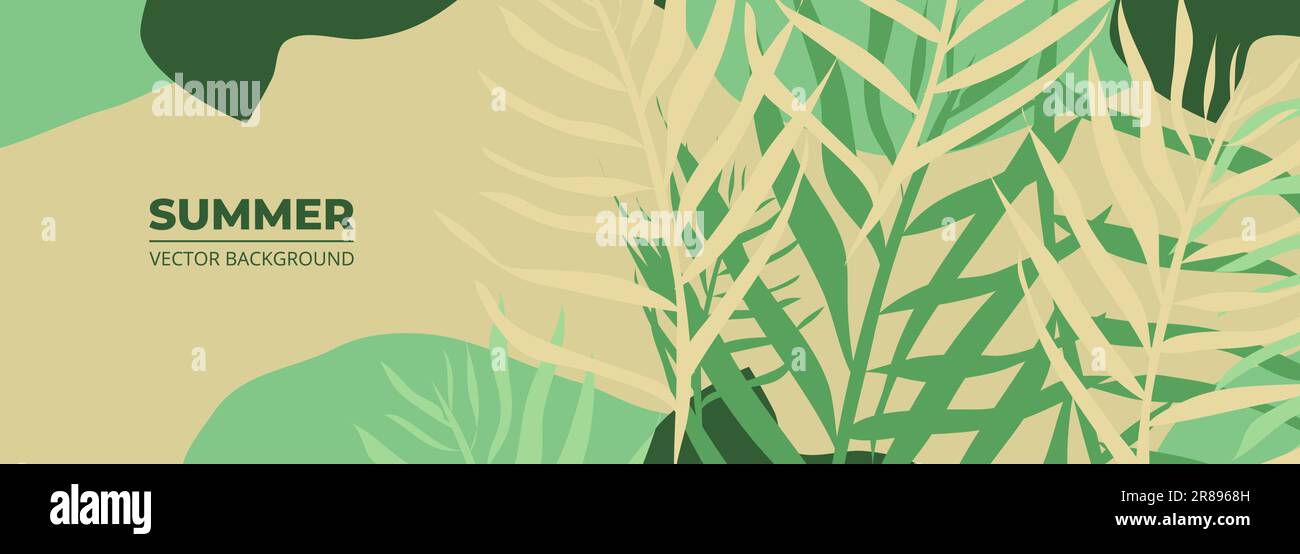 Summer background with tropical leaves. Wide vector abstract floral ...